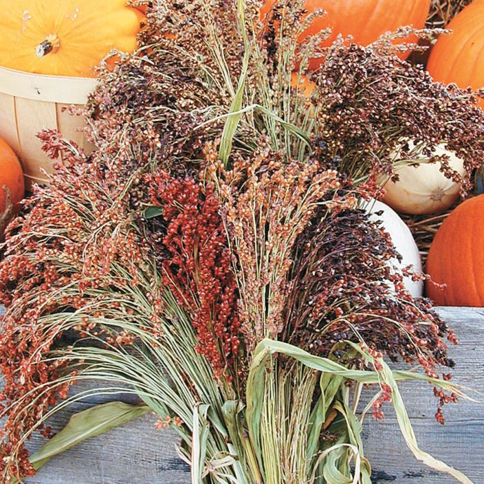 Corn brooms for sale outlet